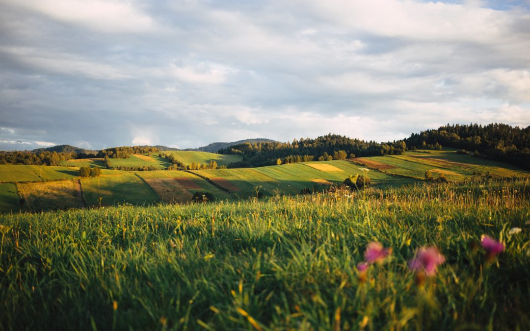 Améliorer l’empreinte carbone d’exploitations agricoles (grandes cultures)