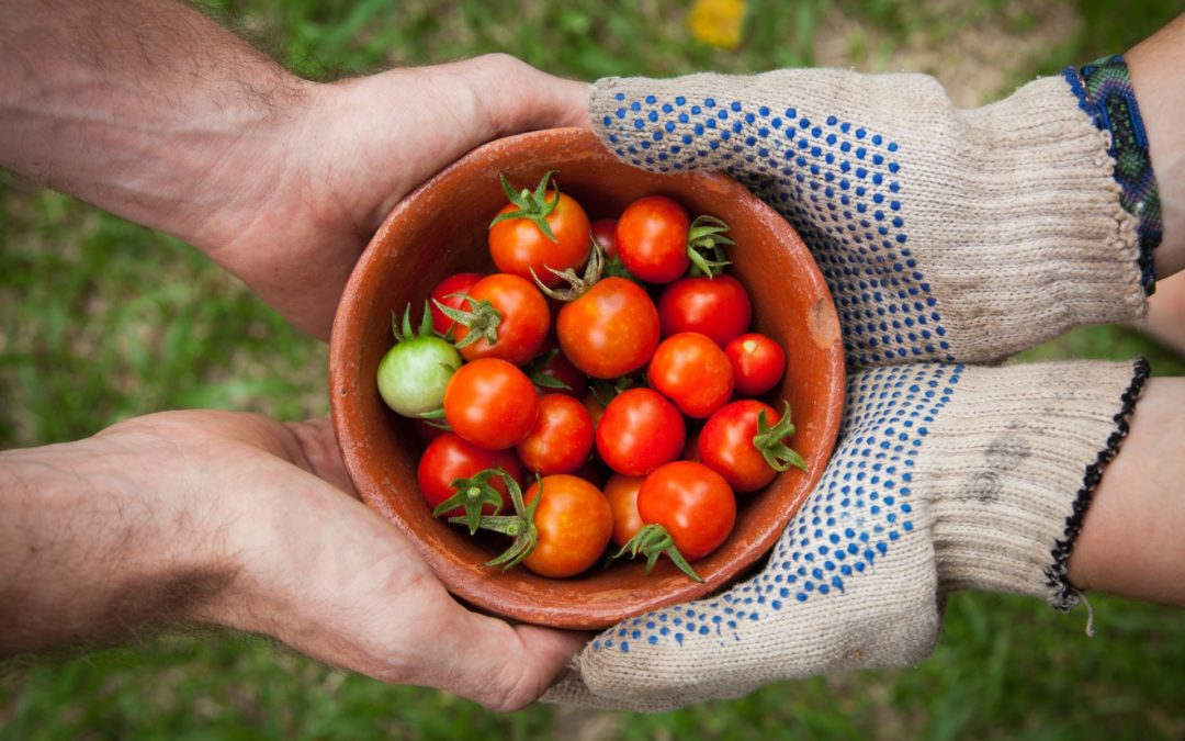Obtenir un label durable pour des cantines
