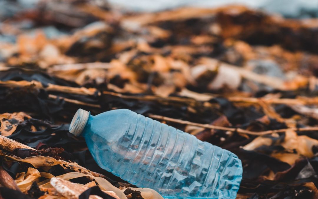 Nettoyer collectivement un cours d’eau