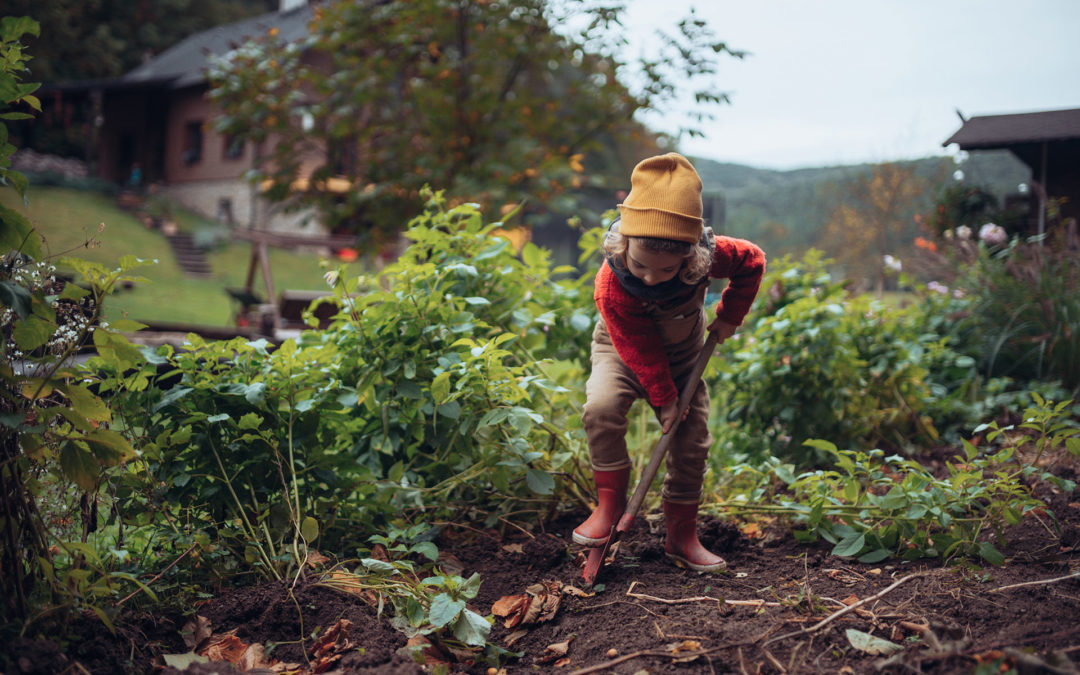 Planter une forêt urbaine de manière participative