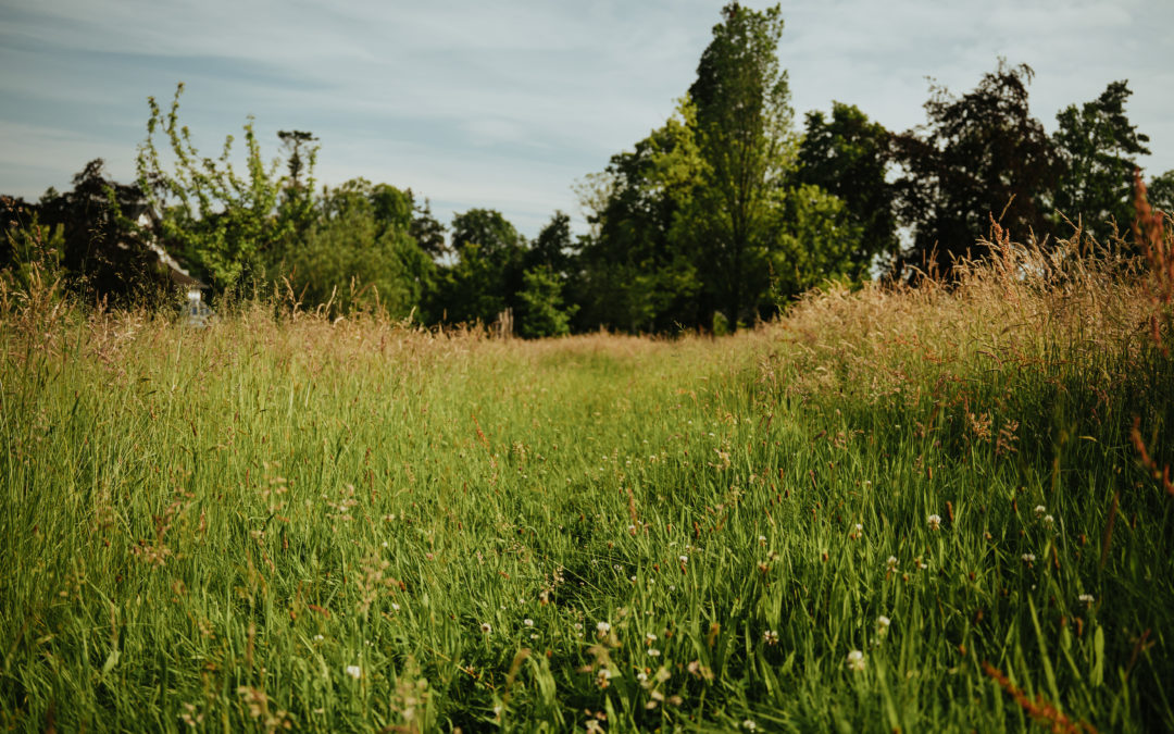 100 jardins qui accueillent de la biodiversité